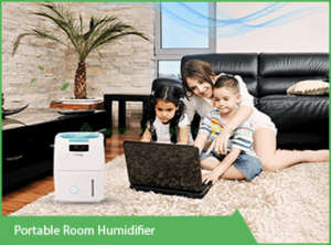 portable-room-humidifier-vacker