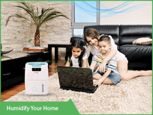 humidify-your-home